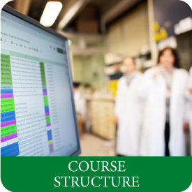 Course structure MSc in biotechnology at Tor Vergata University